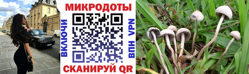 Купить где Лукоянов Галлюциногенные грибы Cubensis